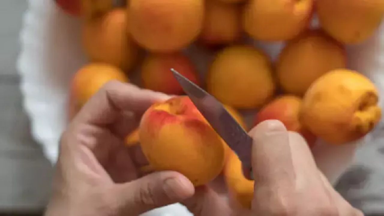 Cildinizi gençleştiren mucizevi kayısı kürü ile tanışın! 10 yıl daha küçük görünmek mümkün... 1