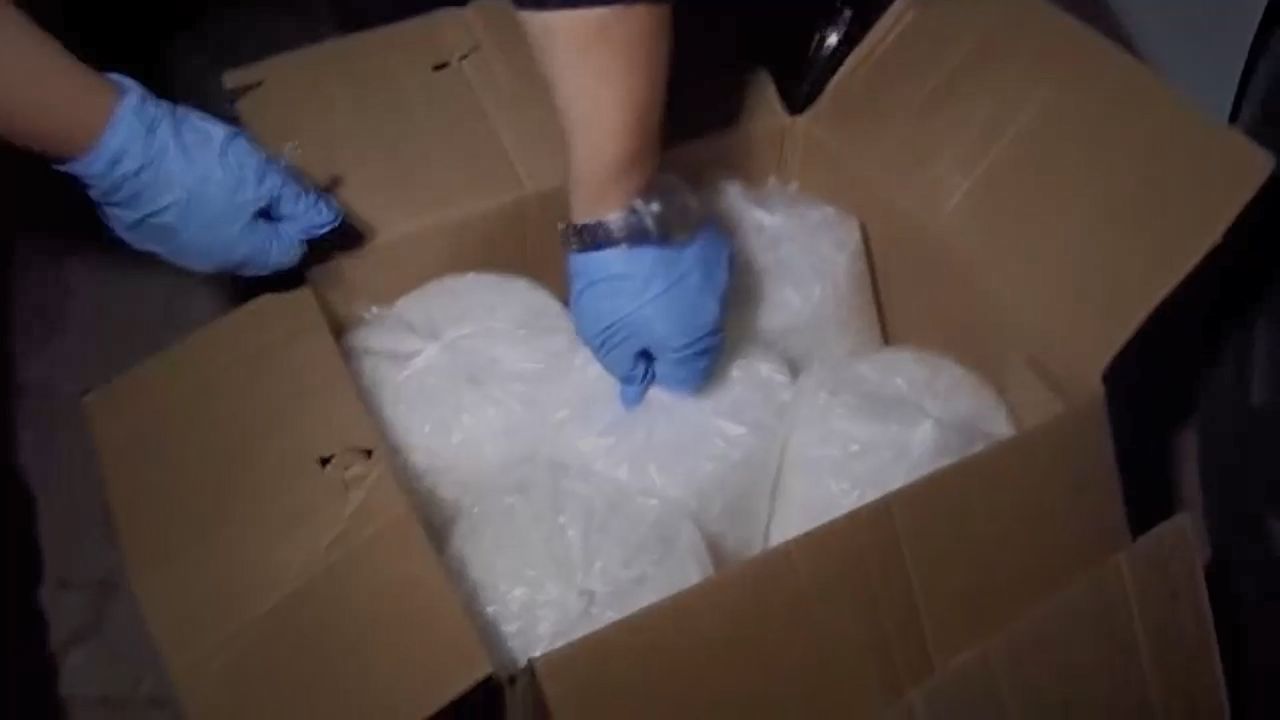 Narkotik köpeği Ares suçluyu canı pahasına yakaladı, uyuşturucudan zehirlenerek öldü 6
