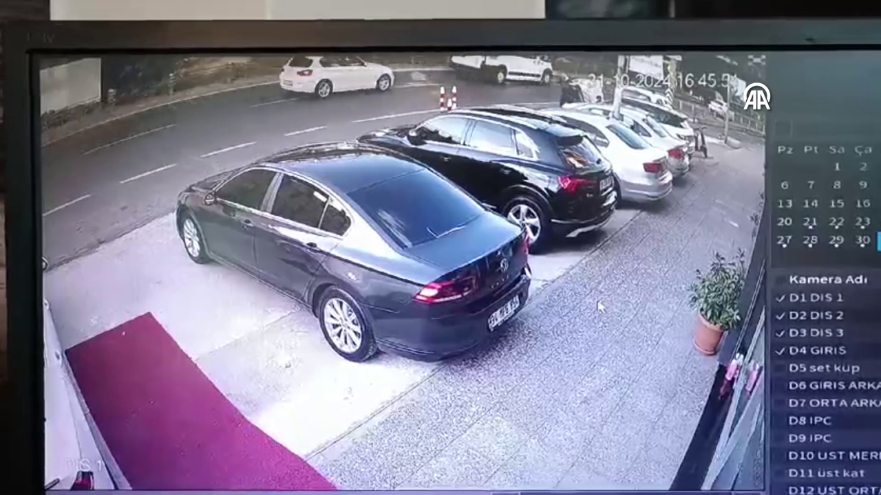 Cani böyle dönmüş! Görüntüler ortaya çıktı! Şirin ölüme böyle yürüdü! 1