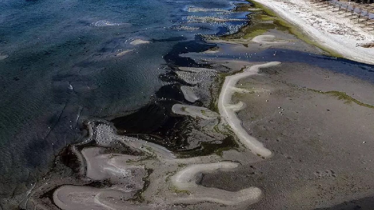 Küçük adacıklar oluştu! İstanbul'da deniz suyu çekildi! Balıkçılar zor durumda... 3