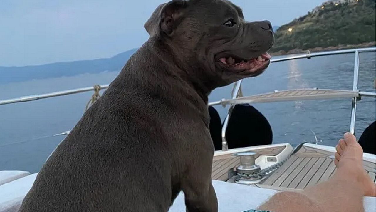 Kıvanç Tatlıtuğ'dan kalbe dokunan veda: "Efsane Genç, her an aklımdasın" 4