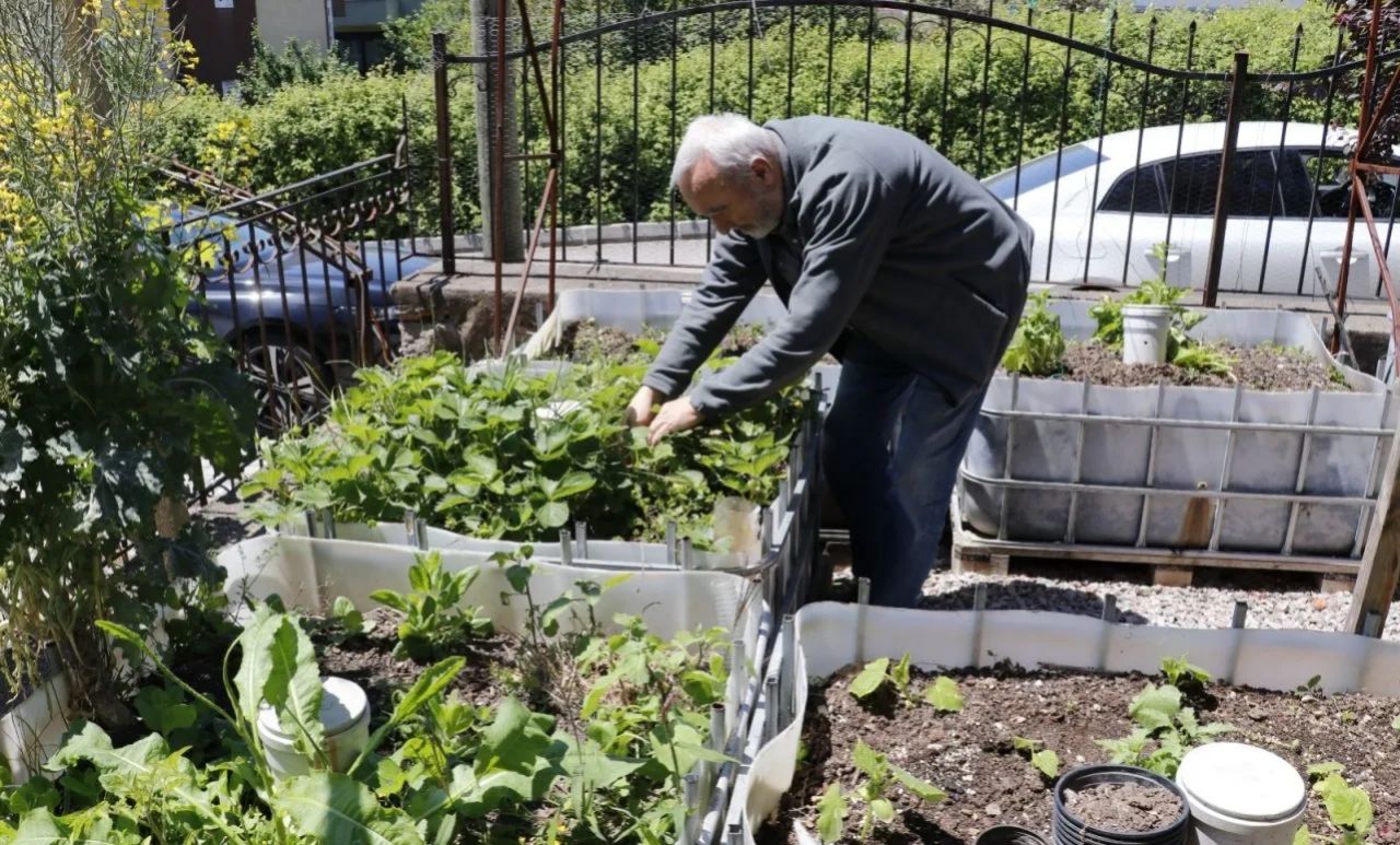 Yeni sigorta sistemi için düğmeye basıldı! Sistem değişiyor 4