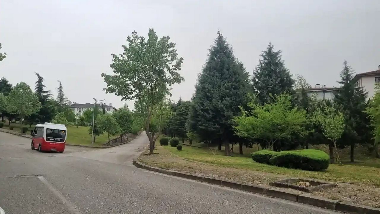 14 Kasım 2024 Türkiye geneli hava durumu raporu yayınlandı! O illerde yağış, rüzgar, sis ve pusa dikkat! 3