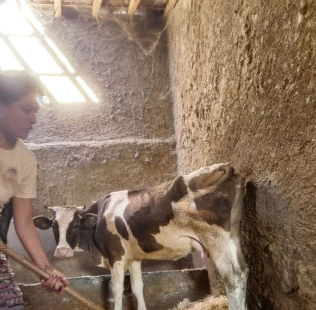 İş insanı Cem Boyner'in kızı Elif Boyner köye yerleşti! "Hepimiz köylüyüz, hepimiz eşitiz" 4