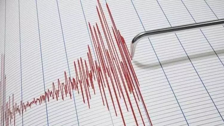 Rize'deki 4.7'lik deprem sonrası korkutan uyarı! "Komşu fayları tetikledi, tehlikesi bilinenden daha yüksek" 2