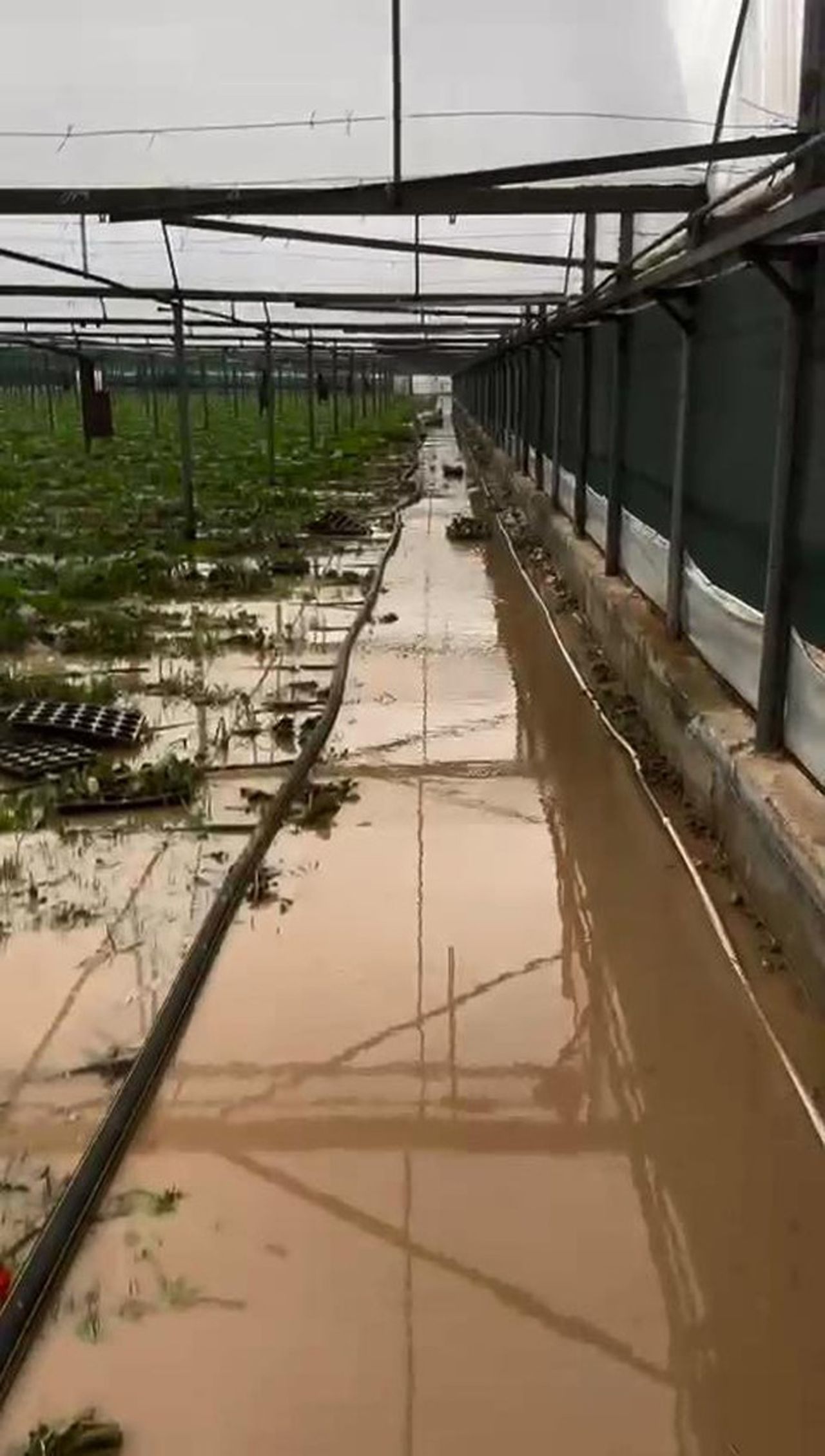 Meteoroloji uyarmıştı: Antalya'yı sel vurdu! İşte son durum... 9