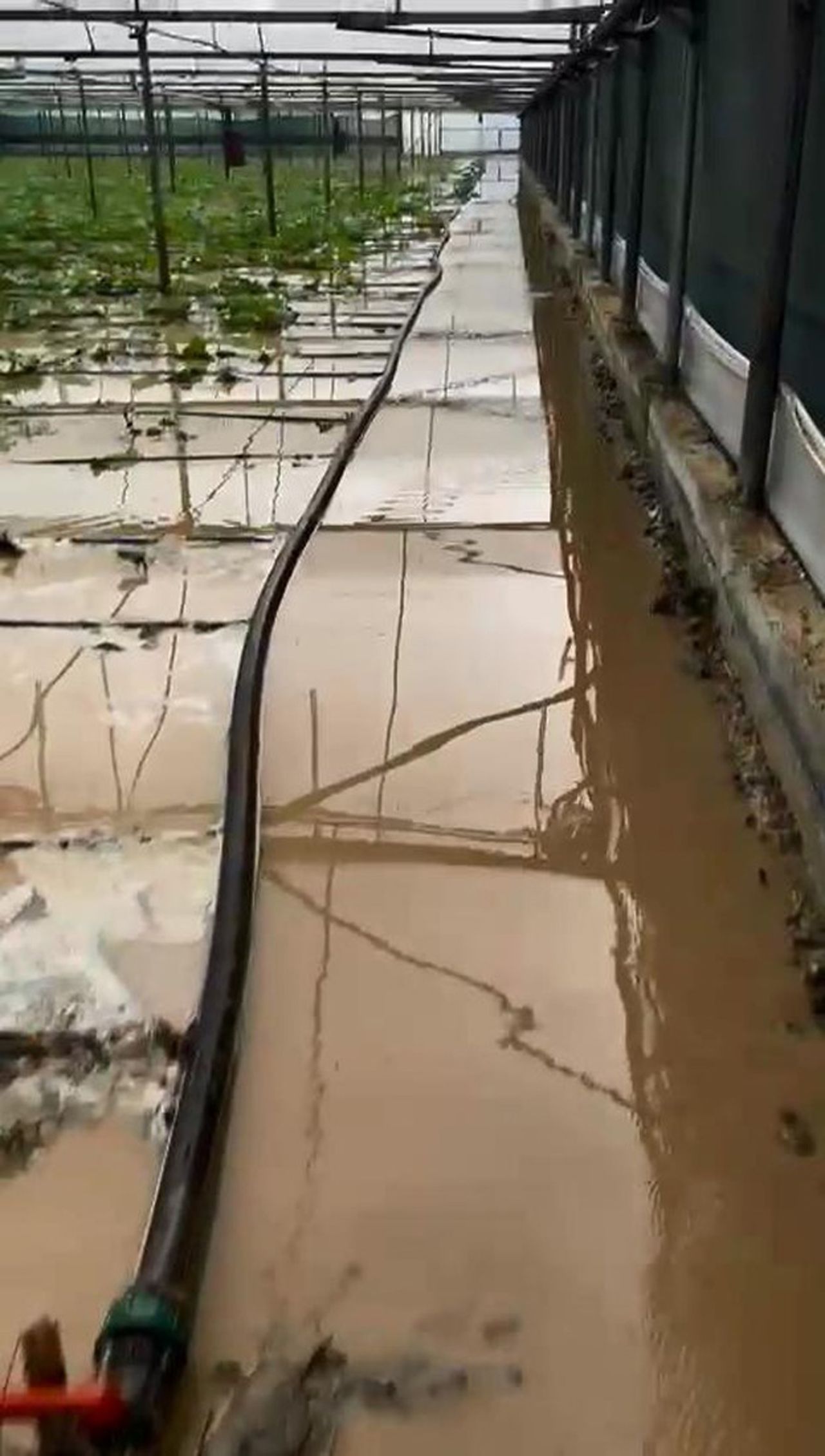 Meteoroloji uyarmıştı: Antalya'yı sel vurdu! İşte son durum... 10