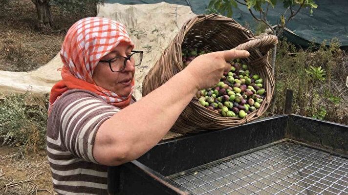 Günlüğü 3 bin TL! Çalışacak işçi bulunamıyor! 1
