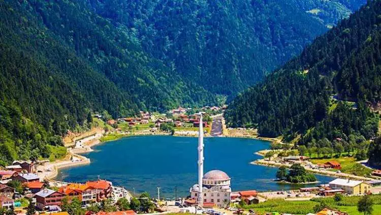 TÜİK açıkladı: Daha çok yaşamak mümkün! İşte Türkiye'de yaşam süresi en uzun olan şehirler... 64