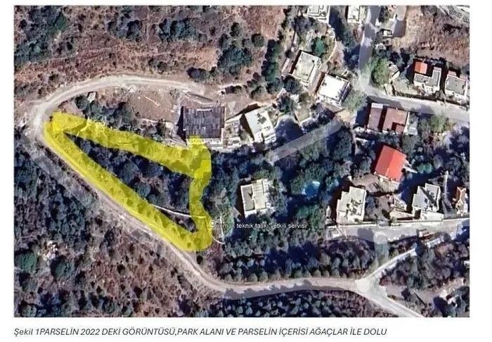 Akbelen'de çevreci imajı çizen Suavi'den ağaç katliamı! Villa dikmek için onlarca ağacı katletti... 3