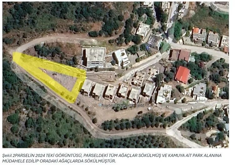 Akbelen'de çevreci imajı çizen Suavi'den ağaç katliamı! Villa dikmek için onlarca ağacı katletti... 4