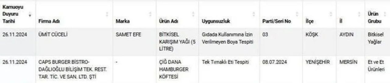 Yeni liste yayımlandı! Hamburger köftesinin içinde tırnak eti, yağ yerine boya çıktı 7