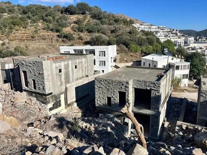 Bodrum'daki ağaç katliamı sonrası harekete geçildi... Suavi hakkında inceleme başlatıldı! 7