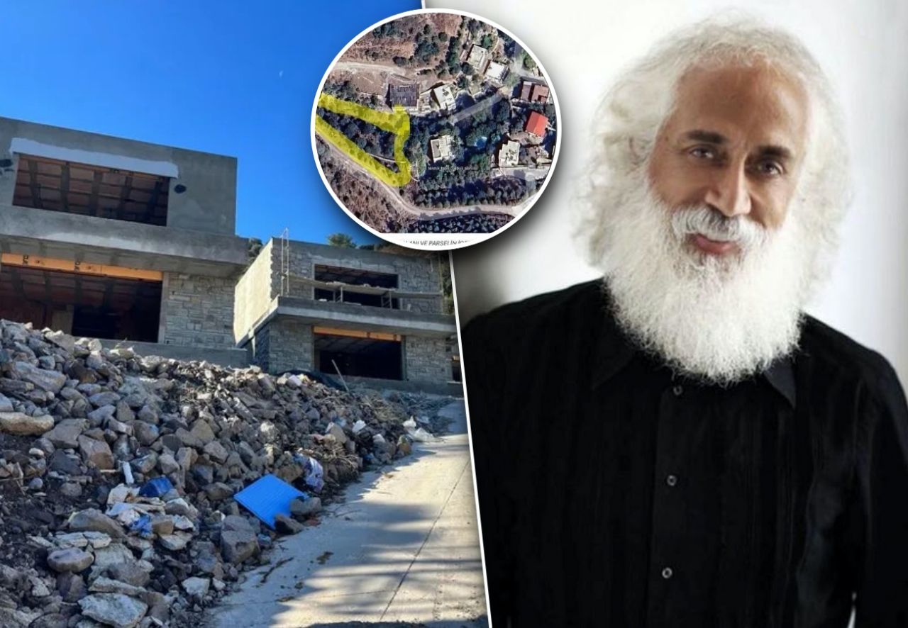 Bodrum'daki ağaç katliamı sonrası harekete geçildi... Suavi hakkında inceleme başlatıldı! 1