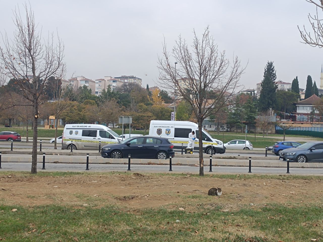İstanbul'da ceset paniği! Pendik sahilde bulunan cesetlerin kimliği belli oldu... 7