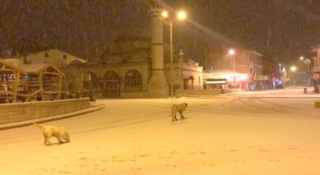 Ne Erzurum ne de Kars! Termometre -20'yi gördü! İşte Türkiye'nin en soğuk yerleri! 17