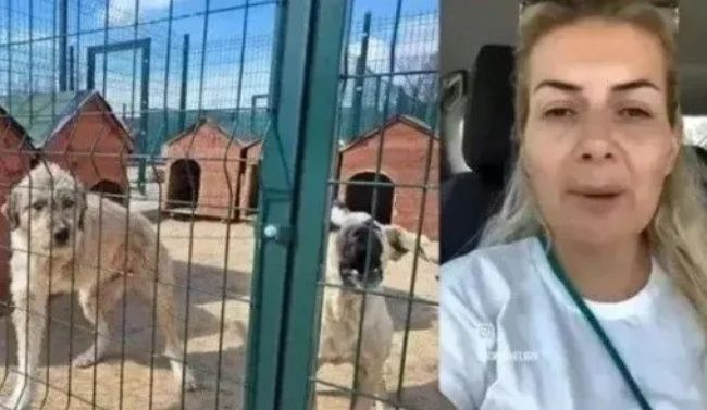 Köpek velisi Buket Özgünlü'nün maskesi düştü! Gözaltına alındı! 20 milyon TL'lik zarar... 2