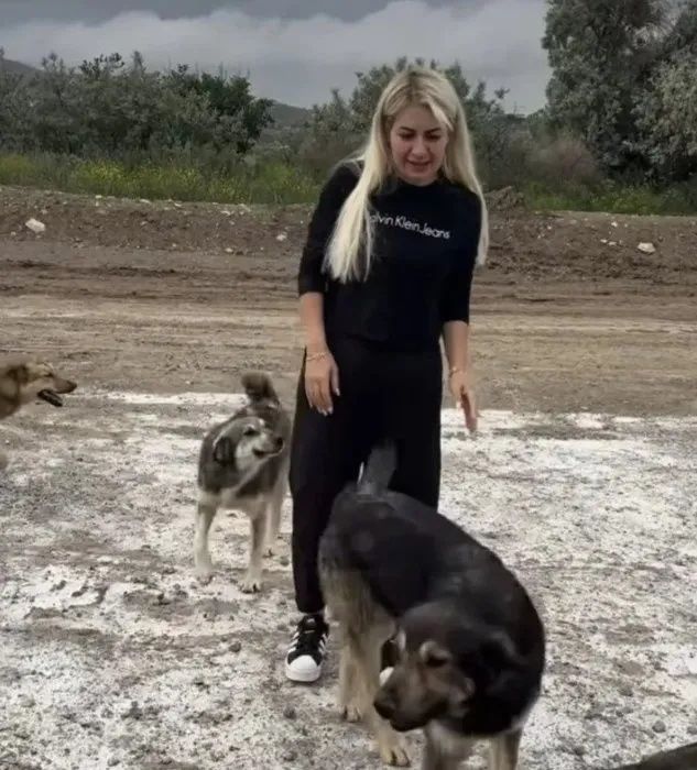 Köpek velisi Buket Özgünlü'nün maskesi düştü! Gözaltına alındı! 20 milyon TL'lik zarar... 7