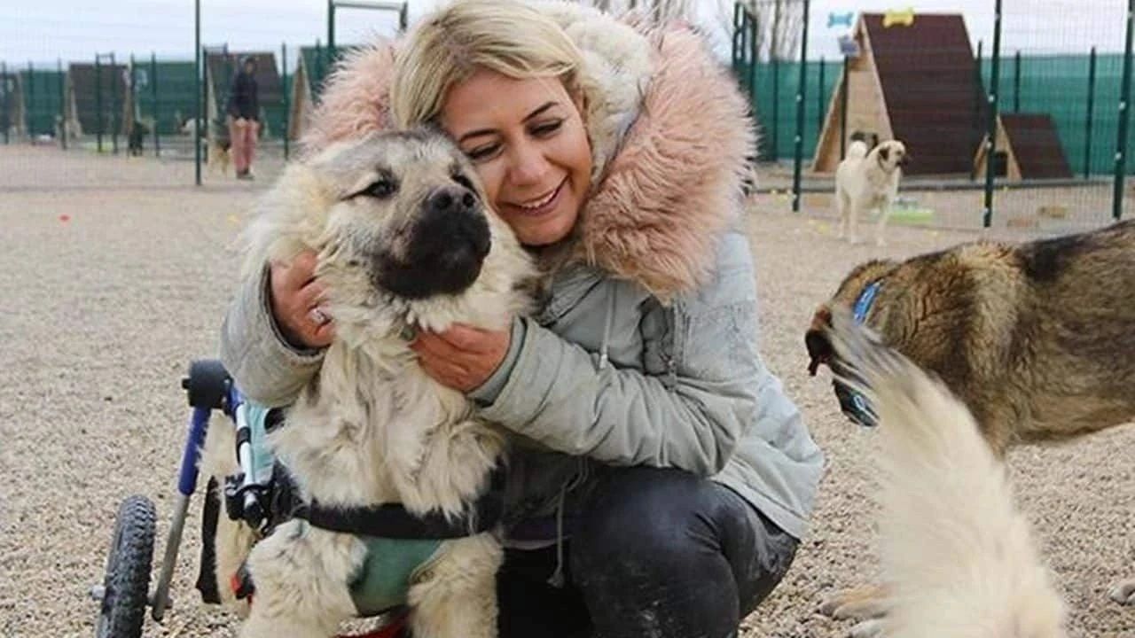 Köpek velisi Buket Özgünlü'nün maskesi düştü! Gözaltına alındı! 20 milyon TL'lik zarar... 5