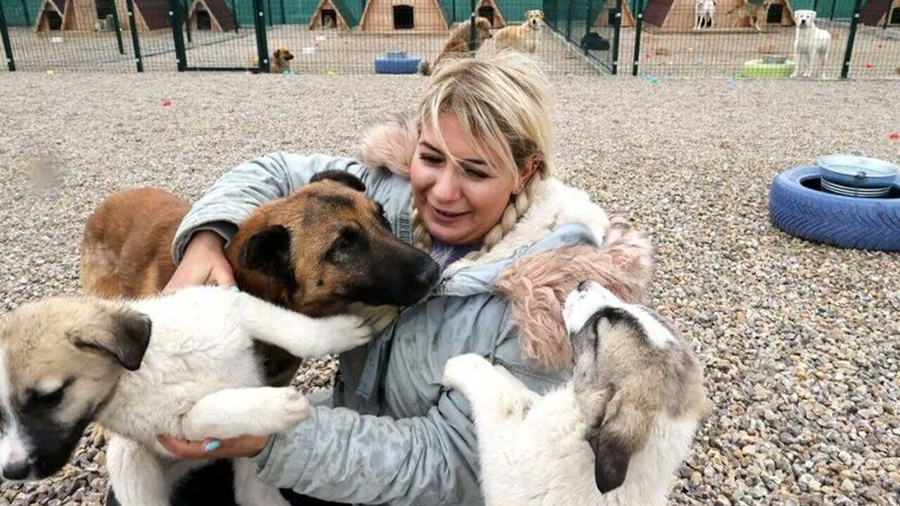 Köpek velisi Buket Özgünlü bağış paralarıyla bakın neler yapmış! Dikkat çeken oto alım satımları... 1