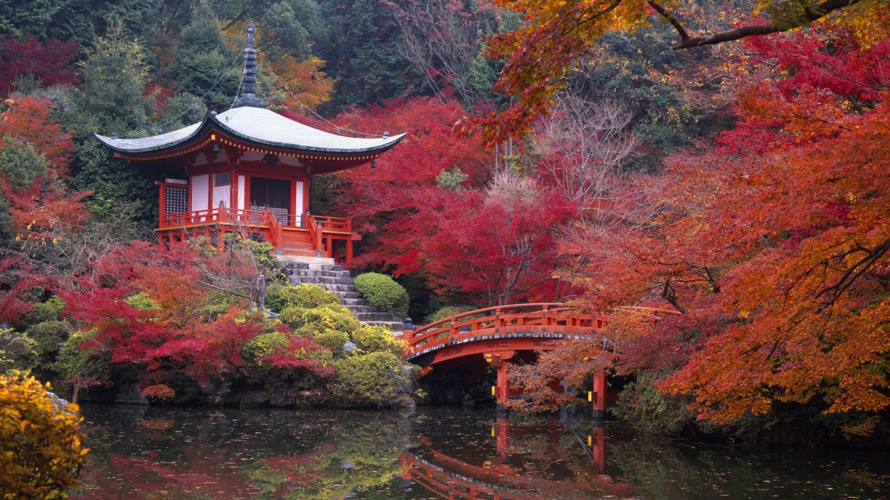 Türk vatandaşları için vizesiz rota: Japonya 8
