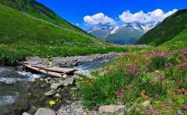 Bulutların arasında kamp: Kaçkar Dağları'ndaki en güzel yaylalar 10