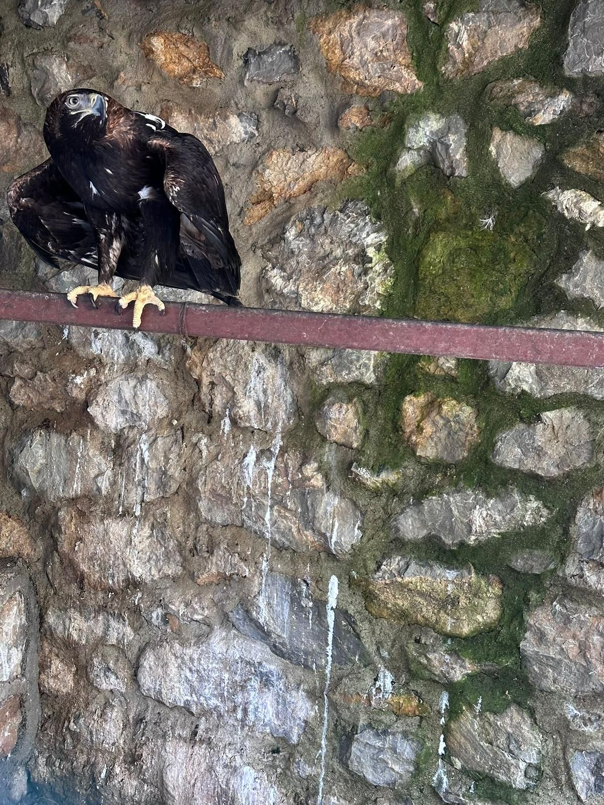 Çerkes Cengiz'in villasına şok baskın: Evden çıkanlar şoke etti! 1