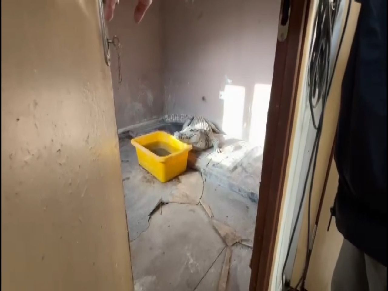 Çerkes Cengiz'in villasına şok baskın: Evden çıkanlar şoke etti! 6