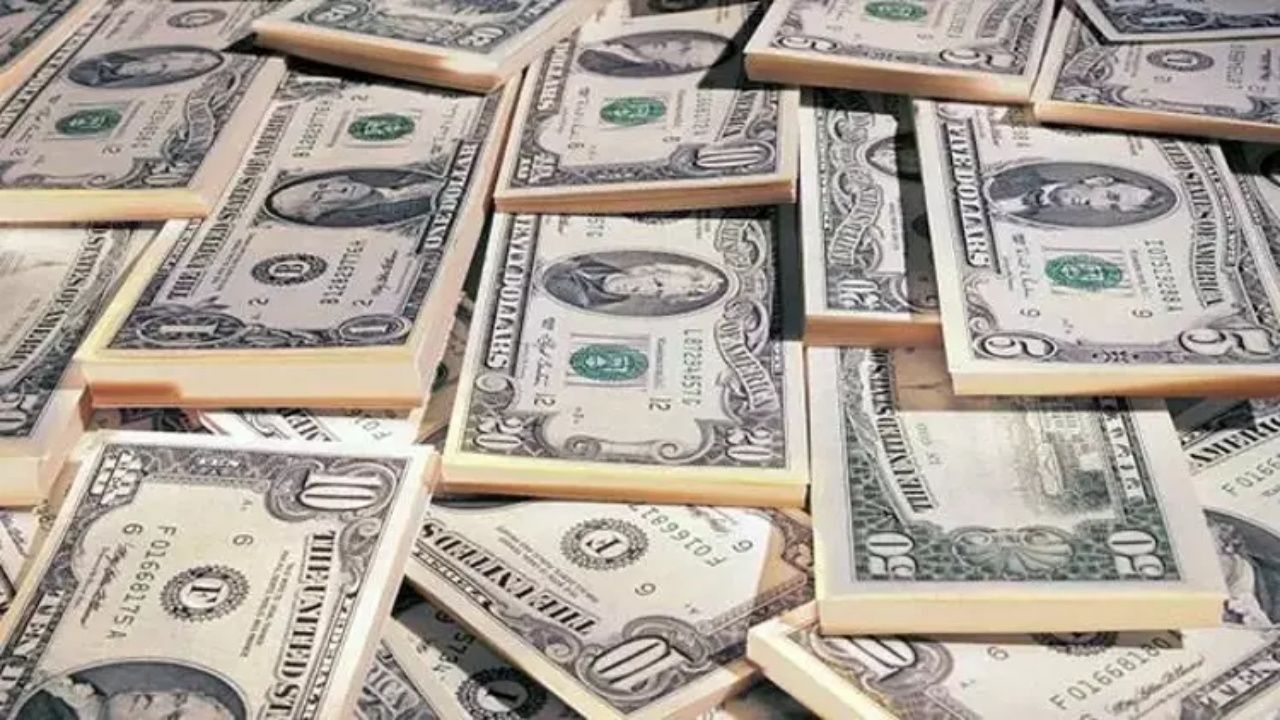 Kasada bol bol dolar var! TCMB rezervleri son sekiz yılın zirvesine çıktı 5