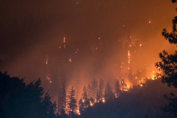 Los Angeles yangınından 5 ay önce dikkat çeken hareketlilik! Sigorta şirketleri peş peşe çıkardı... 6