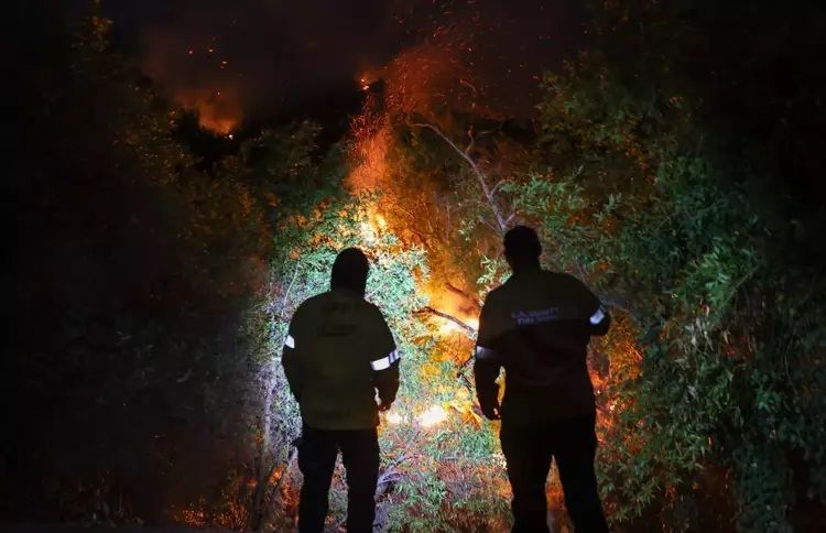 ABD'deki yangında Turabi'nin evi ve arabası yandı: Geriye sırt çantam ve bedenim kaldı 2