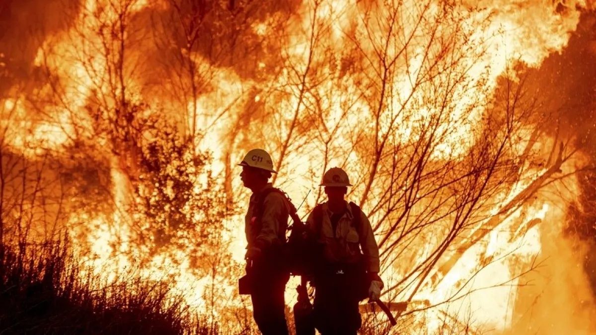 Çuvalladılar! Cayır cayır yanan Los Angeles'ta su sorunu! Rezervuarlar bomboş... 2