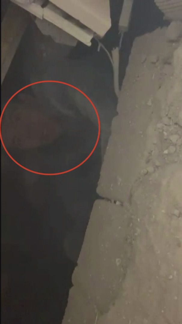 Enkaz altından saatler sonra kurtarıldı! "AFAD görevlisine "Abi hoş geldin" diyerek gülümsedi! 3