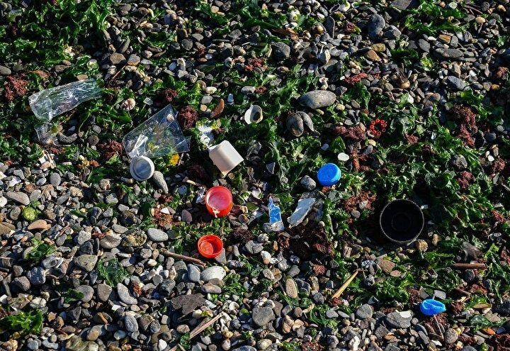 İzmir'de alarm! Körfez kirlilik esaretinde! Çevre felaketi 4 mevsim sürüyor! 2