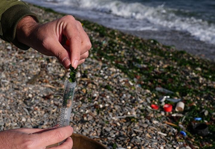 İzmir'de alarm! Körfez kirlilik esaretinde! Çevre felaketi 4 mevsim sürüyor! 3