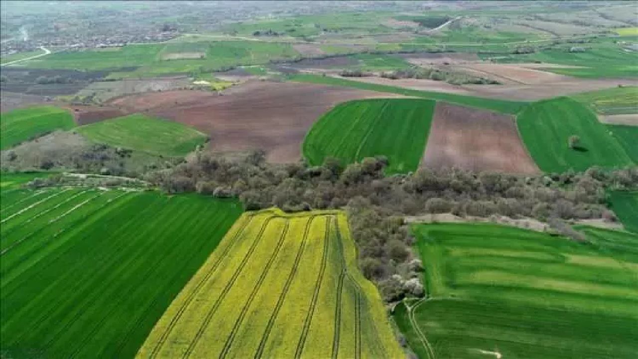 Gayrimenkulde rüzgar değişti: Arsa yatırımları yavaşladı, konutlar yükselişte 1