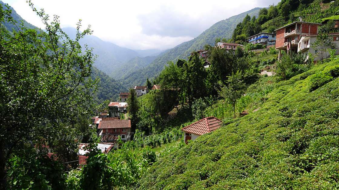 Karadeniz Bölgesi'nin en büyüleyici köyleri... 5