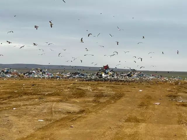 Ankara'da çevre skandalı! Bakanlıktan 5.1 milyon liralık dev ceza! 4