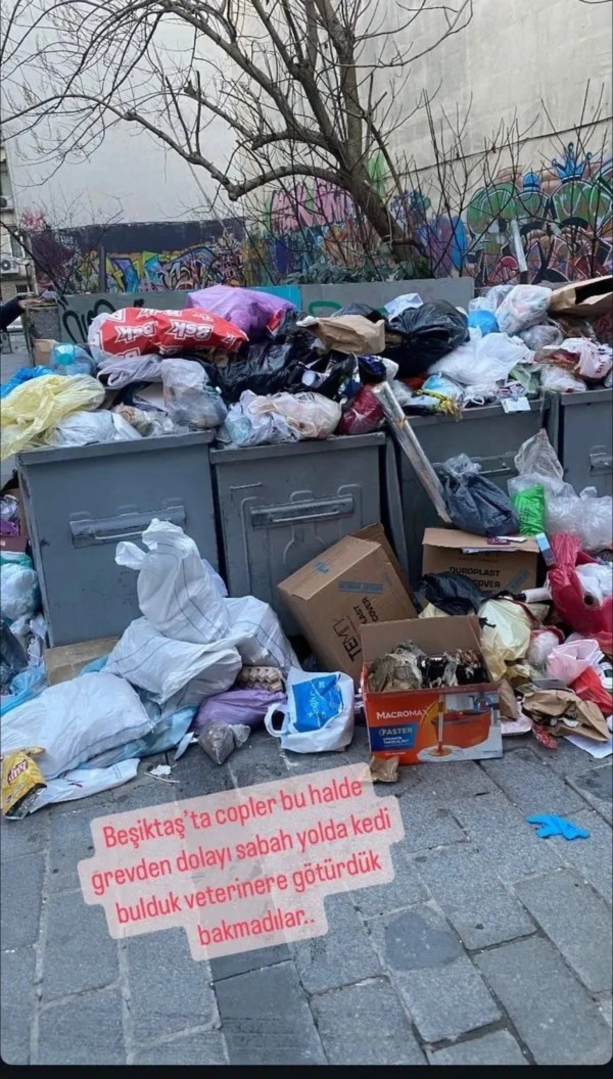 CHP'li Beşiktaş Belediyesi aylardır maaşları ödemiyor: İşçiler grevde! Sokaklarda çöp dağları oluştu! 1