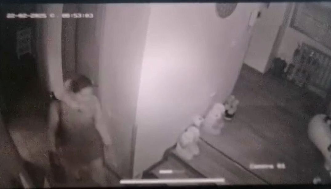 Sultan Vahdettin'in torunlarından Mesude Evliyazade'nin Sarıyer'deki lüks evinde milyonluk hırsızlık 3
