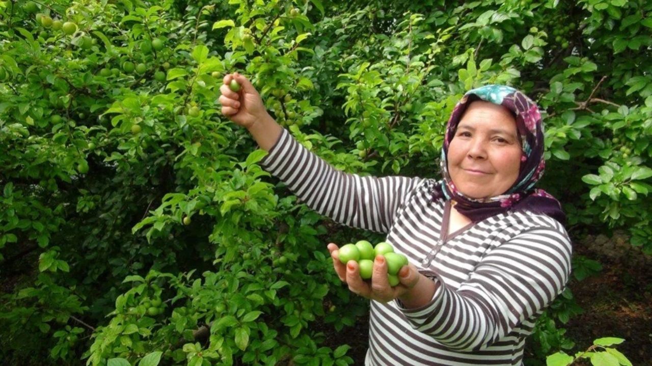 Kilosu 8 bin TL'den satılıyordu! 400 TL'ye kadar düştü 1