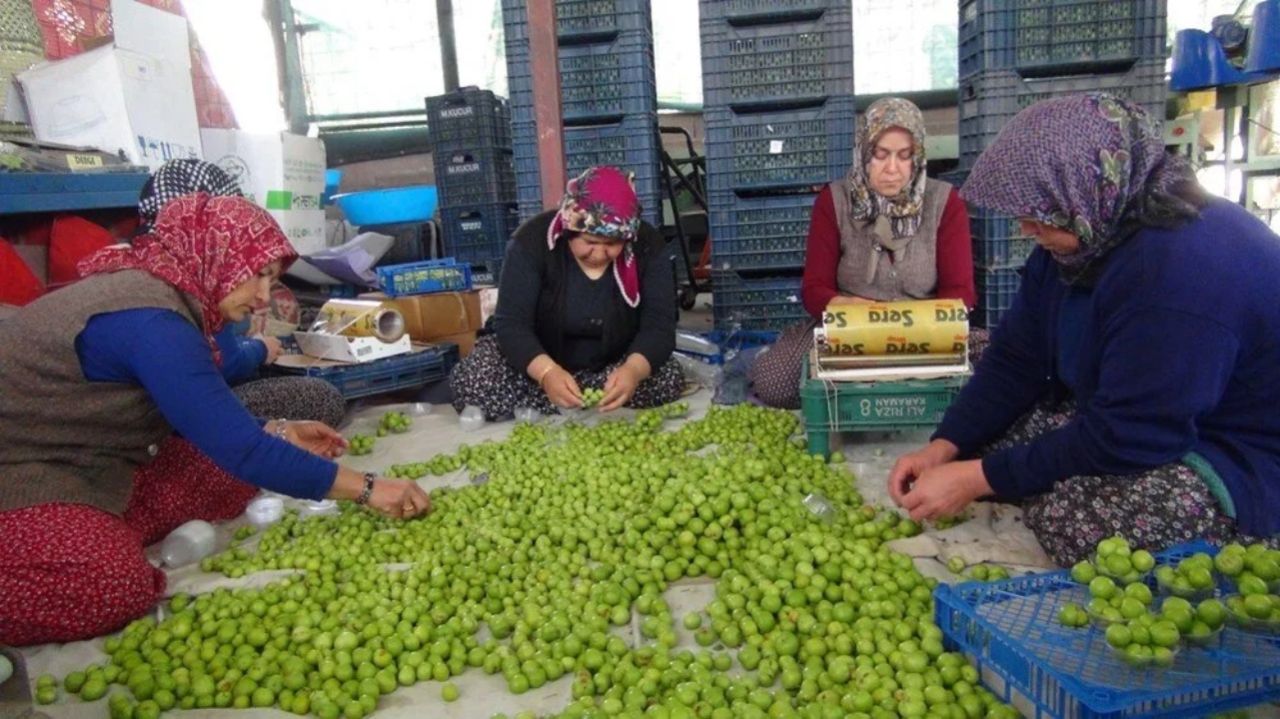 Kilosu 8 bin TL'den satılıyordu! 400 TL'ye kadar düştü 2