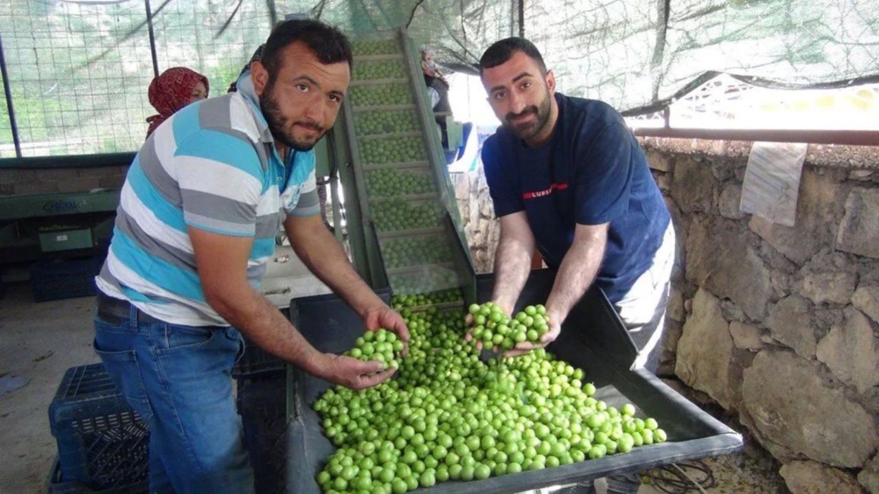 Kilosu 8 bin TL'den satılıyordu! 400 TL'ye kadar düştü 3