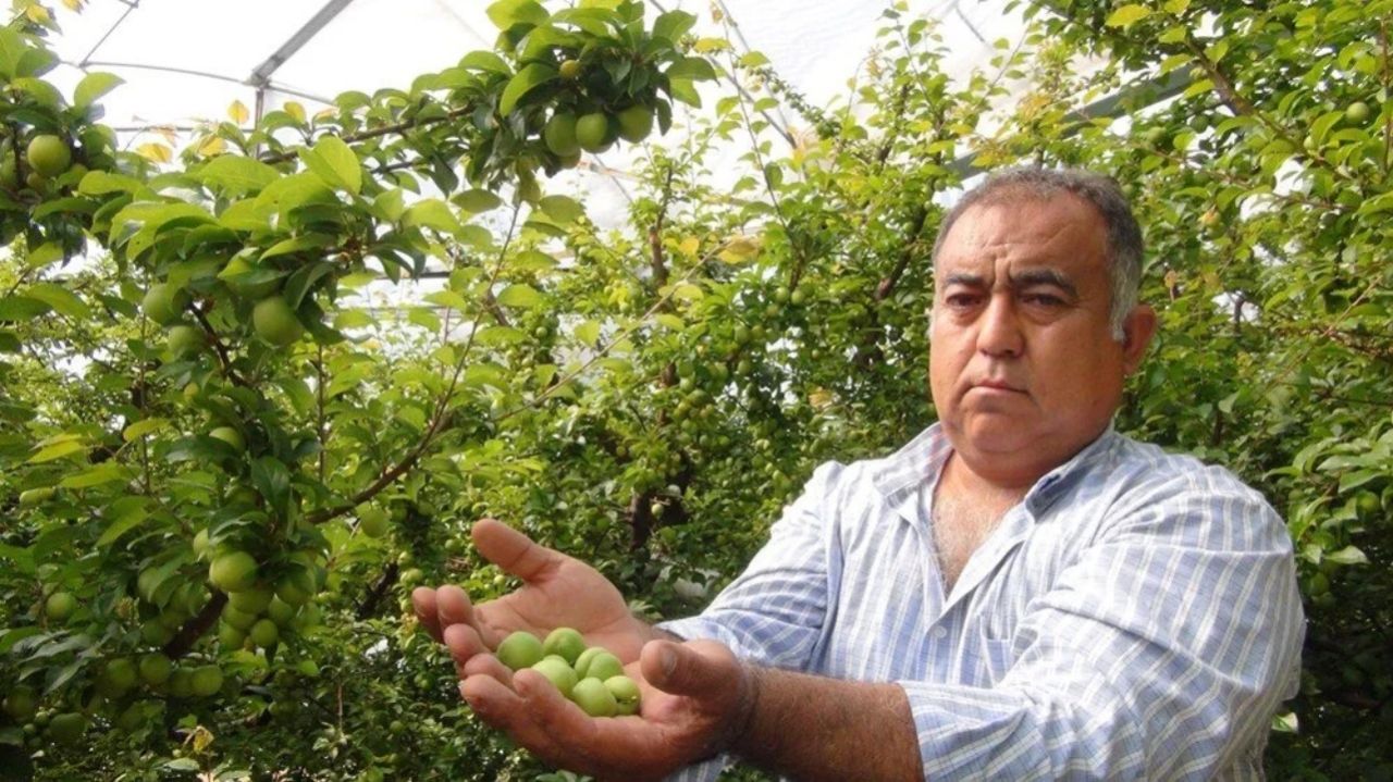 Kilosu 8 bin TL'den satılıyordu! 400 TL'ye kadar düştü 4
