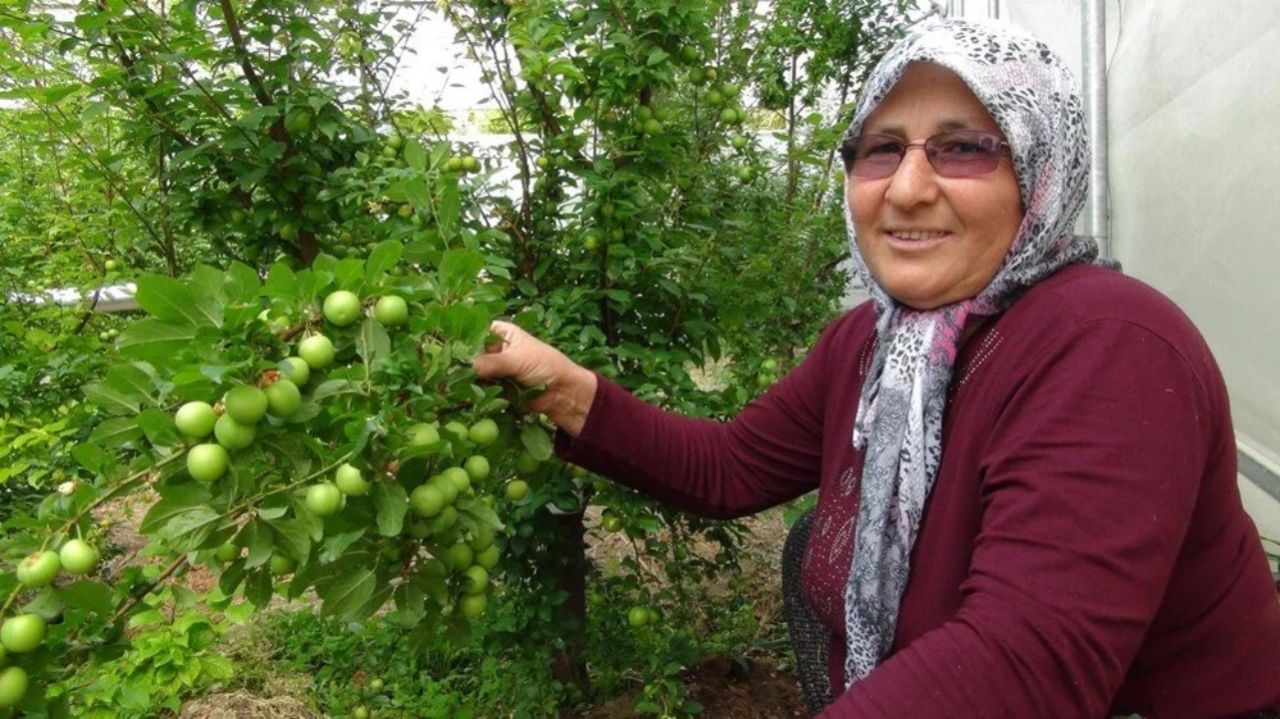 Kilosu 8 bin TL'den satılıyordu! 400 TL'ye kadar düştü 6