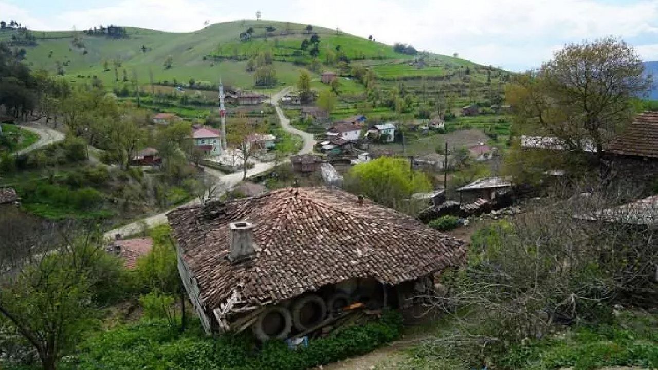 Samsun'da gizemli olay! Tüm mahalle sessizliğe gömüldü: "Bulaşıcı bir hal almış durumda" 1