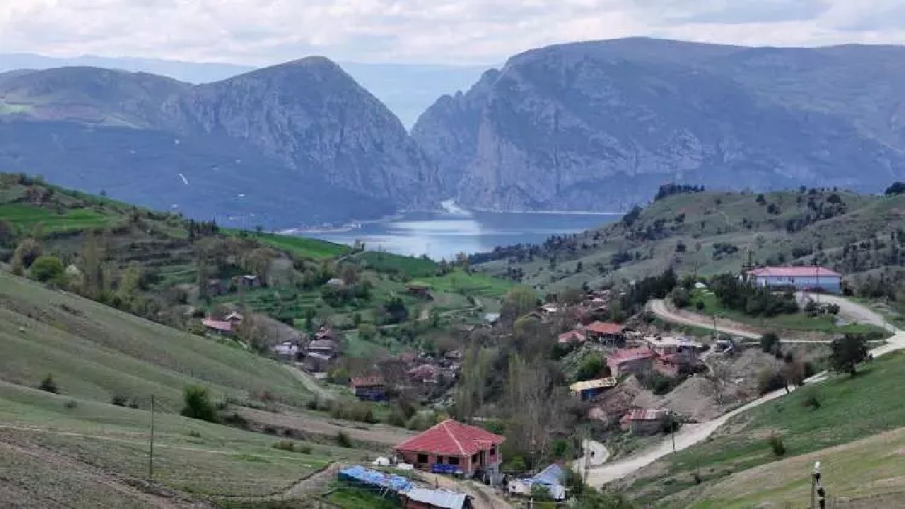 Samsun'da gizemli olay! Tüm mahalle sessizliğe gömüldü: "Bulaşıcı bir hal almış durumda" 2