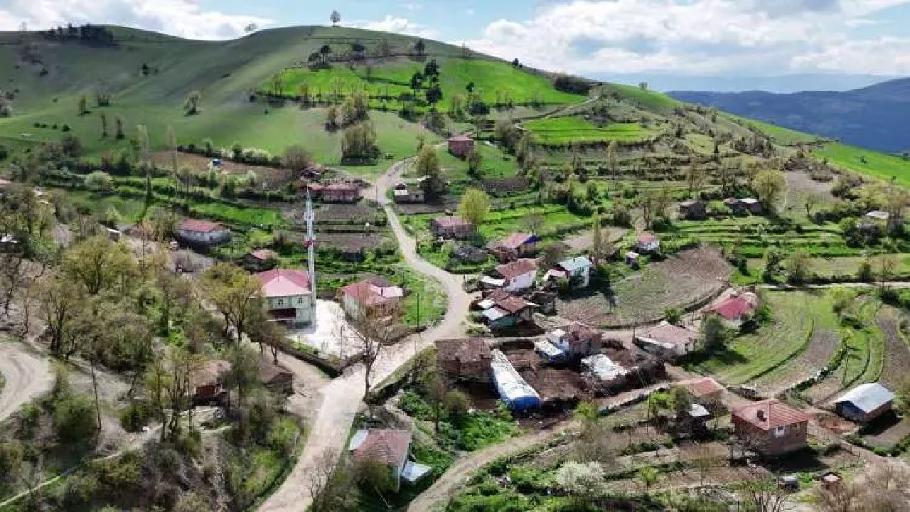 Samsun'da gizemli olay! Tüm mahalle sessizliğe gömüldü: "Bulaşıcı bir hal almış durumda" 5