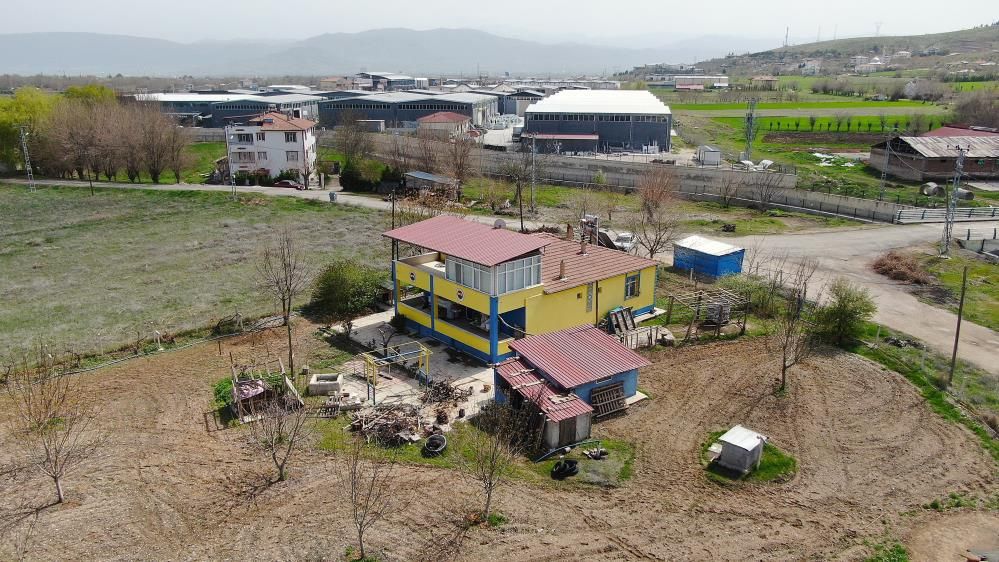 Elazığlı Mehmet Amca'nın Fenerbahçe aşkı! Evini sarı-lacivert boyadı 7