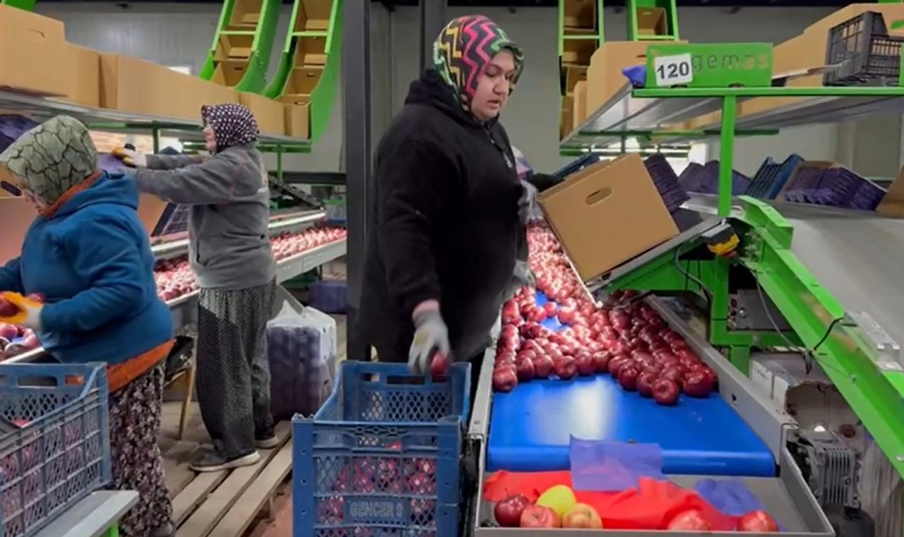 Eğirdir’de organik elma devrimi: Türkiye’nin bir numaralı ilçesinden yeni hedef 6